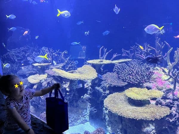 Kinderen genieten in Diergaarde Blijdorp